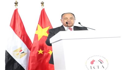 عاجل.. وزير المالية : مصر تفتح أبوابها أمام الاستثمارات الصينية فى الصناعات الاستراتيجية 