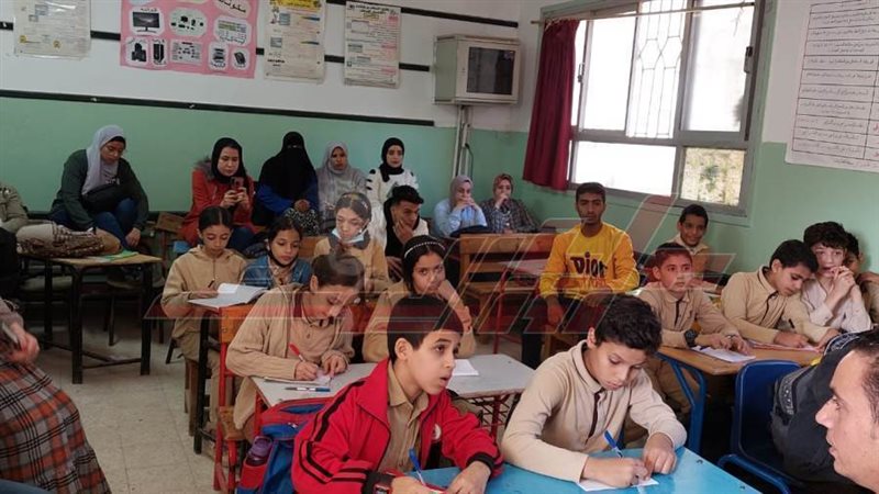 مدارس كفرالشيخ