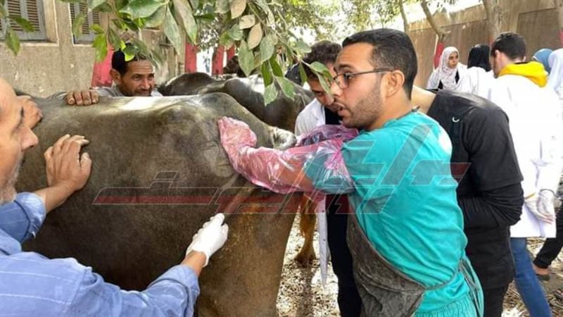 القافلة البيطرية