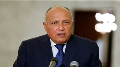 وزير الخارجية يعقد غدا مباحثات مع نظيره الفلسطيني