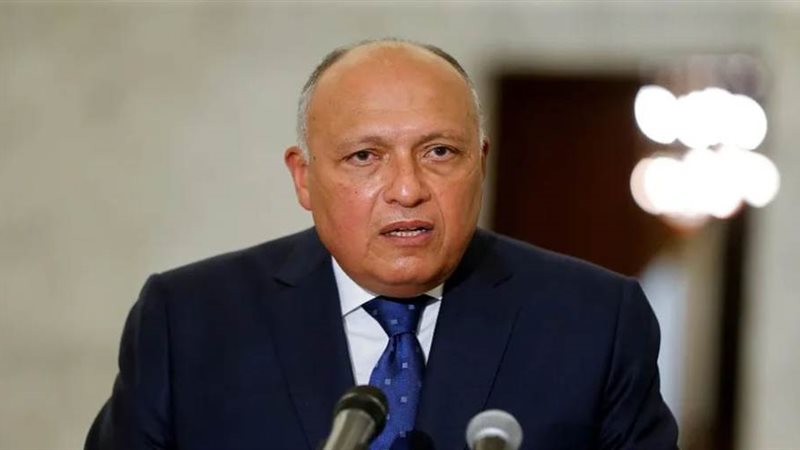 وزير الخارجية سامح