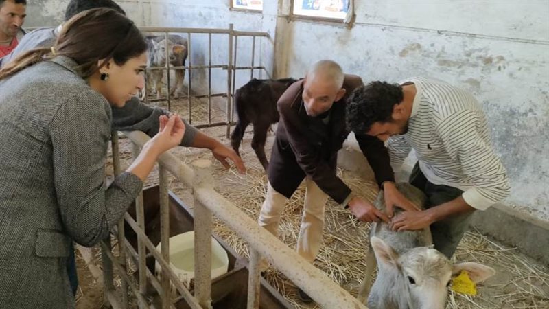 نائب محافظ البحيرة