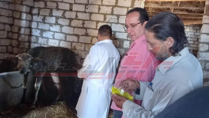 حملات التطعيم