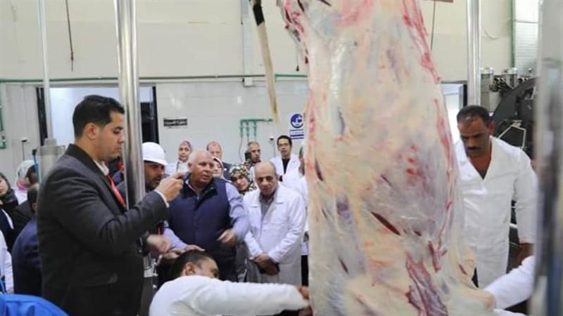 محافظ الوادى الجديد