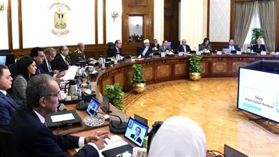 الحكومة توافق على توقيع مذكرة التفاهم المعيارية الخاصة بمشروعات إنتاج الهيدروجين الأخضر