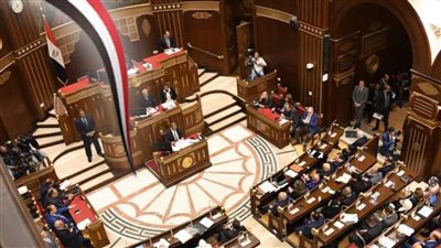 ماذا قال مجلس الشيوخ؟