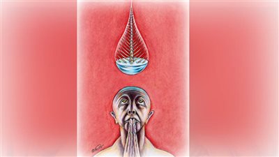 #الريشة_في_مواجهة_التغيرات_المناخية 