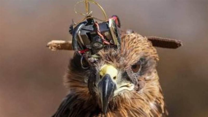 كاميرا للمراقبة على