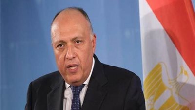 سامح شكري يؤكد أهمية توفير التمويل اللازم لدعم قطاعات الاقتصاد الأخضر