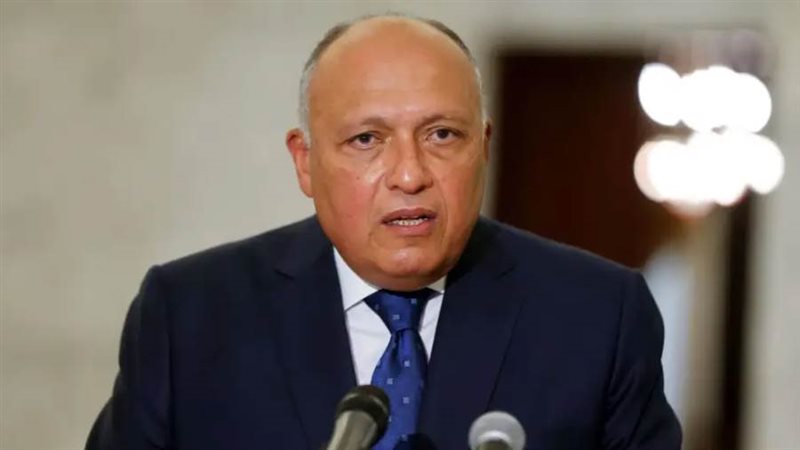 سامح شكري وزير الخارجية