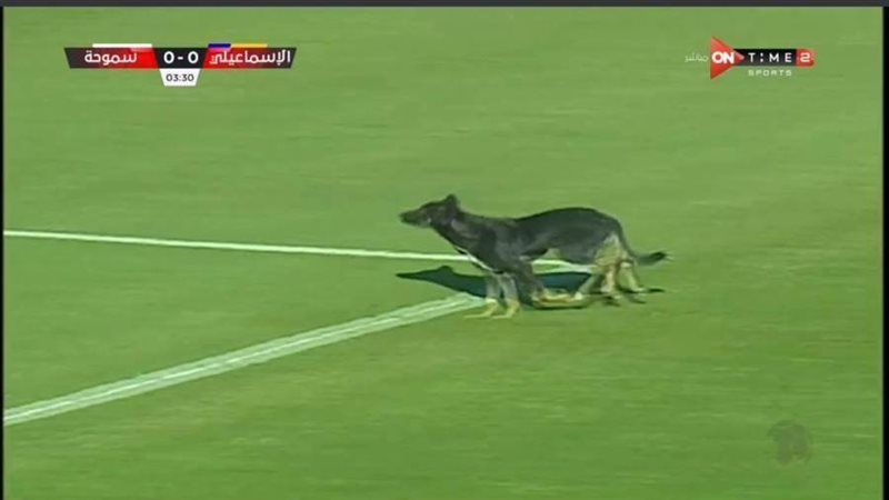 مباراة الإسماعيلي