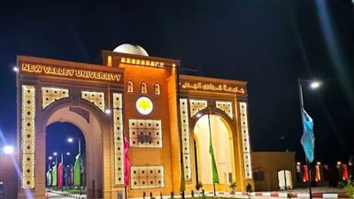 فنون جامعة الوادي الجديد ضمن 9 مراكز فنون متميزة بجامعات الجمهورية