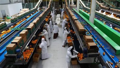 الحجر الزراعي: مصر استطاعت فتح 70 سوقا جديدا للصادرات خلال 4 سنوات