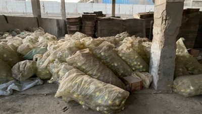 ضبط أكثر من 125 طن زيت طعام منتهية الصلاحية بالغربية قبل طرحها بالأسواق