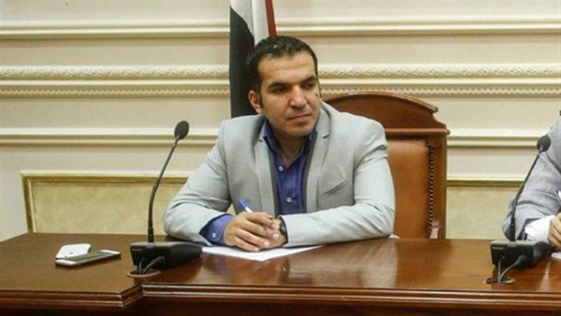 النائب الدكتور محمود