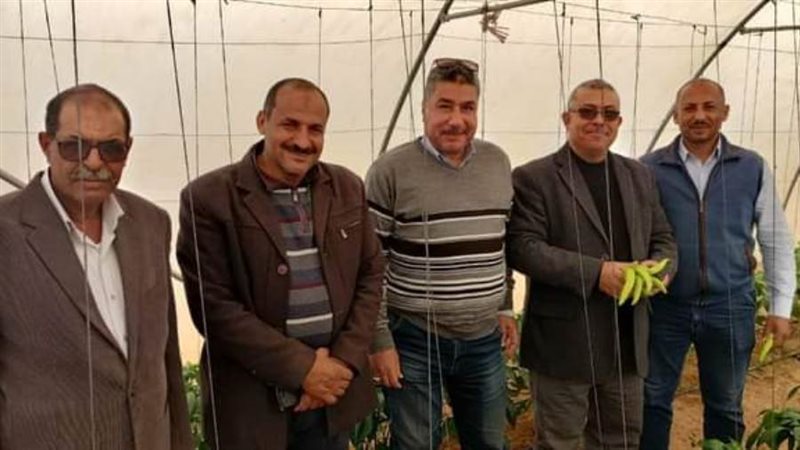 وكيل وزارة الزراعة