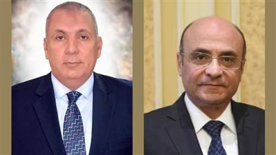 وزير العدل ومحافظ الوادي الجديد يبحثان تفعيل محكمة الفرافرة وحل منازعات الاستثمار