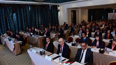 إبراهيم العربي: عقد ملتقى رجال الأعمال المصري الياباني يستهدف زيادة فرص الاستثمار الأجنبي