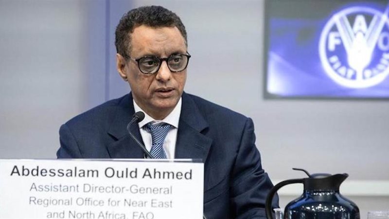 وزير الطاقة الموريتاني