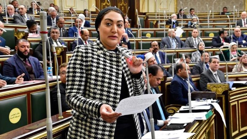 النائبة أسماء سعد