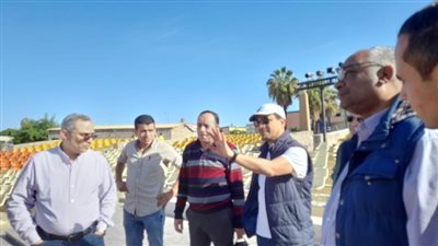 رئيس هيئة قصور الثقافة يتابع أعمال التطوير ببعض المواقع الثقافية بأسوان 