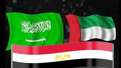 مصر والإمارات والسعودية تستعرض تجاربها في إصلاح التعليم من خلال الجامعات