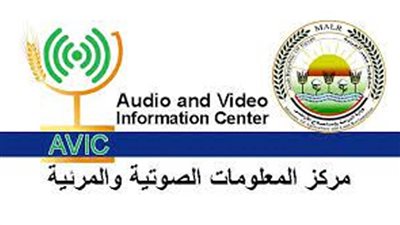 بالإنفوجراف والفيديو.. 