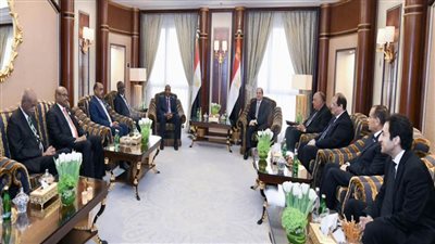 الرئيس السيسي والبرهان يبحثان العلاقات الثنائية وتنسيق المواقف دوليًا وإقليميًا
