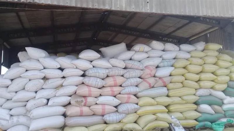 ضبط أرز شعير - ارشيفية