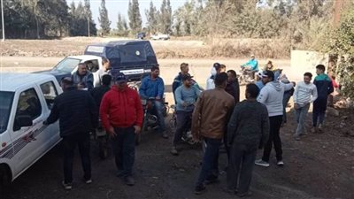 البحث عن تمساح ظهر في إحدى الترع بالدقهلية 