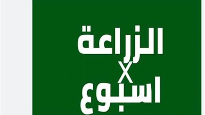 بالانفوجراف والفيديو| 