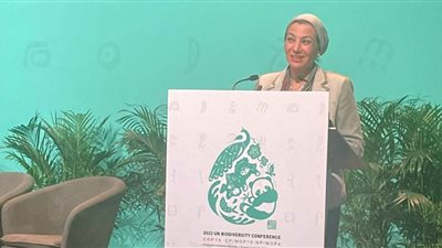 وزيرة البيئة: قضية التغيرات المناخية حازت على اهتمام كبير خلال مؤتمر المناخ COP27