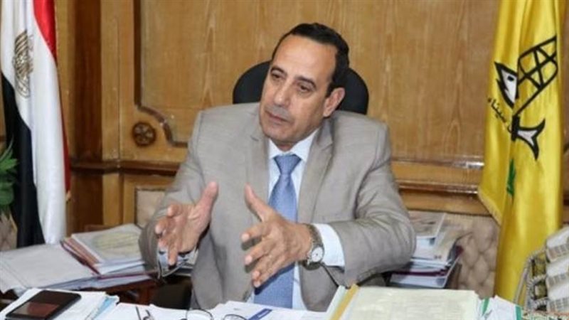 الدكتور محمد عبدالفضيل