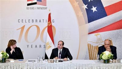 وكيل مجلس الشيوخ: القمة الأمريكية الإفريقية ترسخ المكانة الإقليمية والدولية لمصر