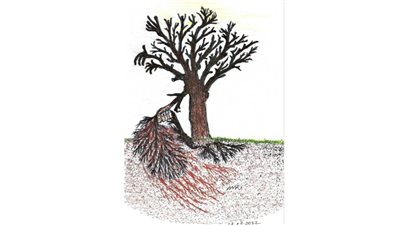 #الريشة_في_مواجهة_التغيرات_المناخية 