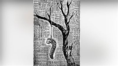 #الريشة_في_مواجهة_التغيرات_المناخية 