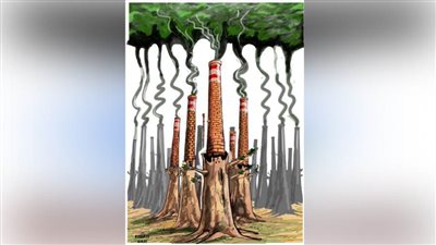 #الريشة_في_مواجهة_التغيرات_المناخية 