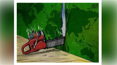 #الريشة_في_مواجهة_التغيرات_المناخية 