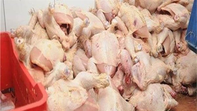 ضبط طني دواجن غير