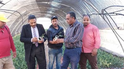 دعمًا لطلاب باريس الزراعية: الاستعداد والتجهيز لتدريبات ميدانية بالشركة المصرية الخليجية بباريس