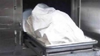 التحقيق في واقعة شروع مواطن في قتل زوجته والتخلص من حياته بالشرقية 