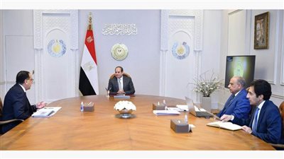 عاجل| الرئيس السيسي يصدر توجيهًا مهمًا بشأن شركات قطاع الأعمال العام 