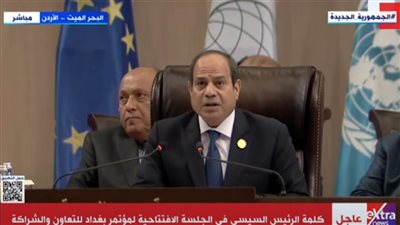 الرئيس السيسى: الأوضاع في العراق تشهد تقدما ملحوظا