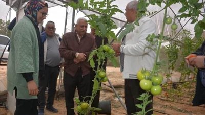 محافظ الوادي الجديد يتفقد 