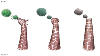 #الريشة_في_مواجهة_التغيرات_المناخية 