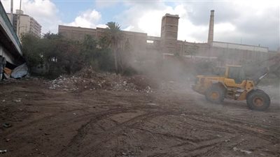 تكثيف حملات النظافة بغرب الإسكندرية ورفع 