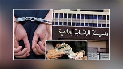 عاجل.. سقوط حوت وزارة المالية بعد استيلائه على 17.7 مليون جنيه