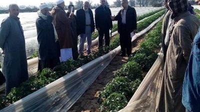 زراعة الشرقية تستعرض جهودها خلال عام 2022