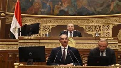 وزير الاتصالات أمام الشيوخ: مصر تتصدر الدول الإفريقية في سرعة الإنترنت