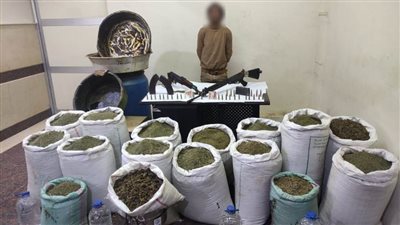 ضبط متهم بحوزته أسلحة نارية وذخائر و700 كيلوجرام من مخدر البانجو بشمال سيناء